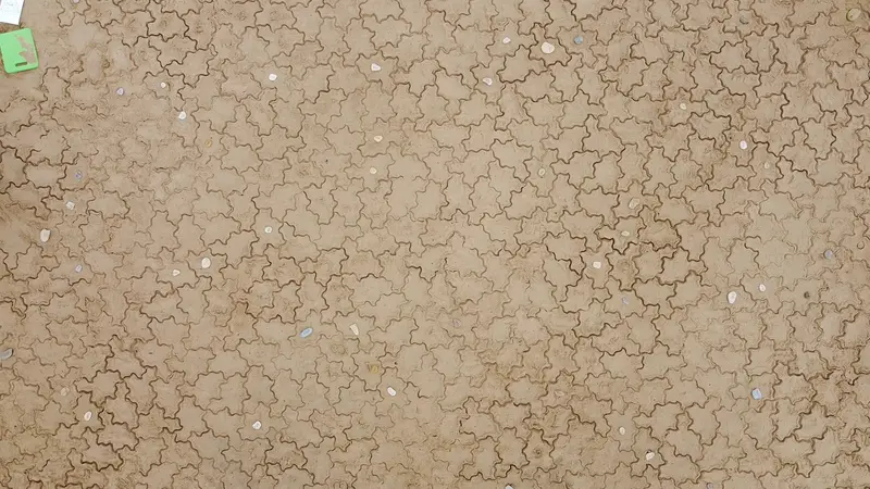 Looking down at the tiling.