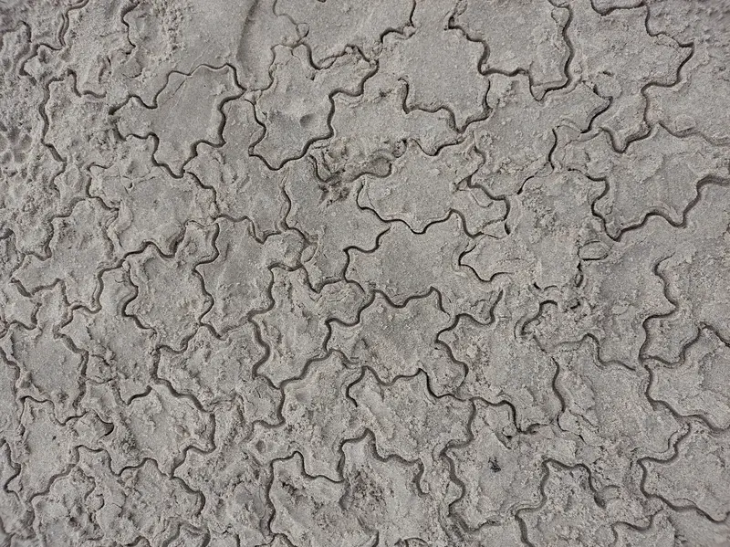 Spectre monotile outlines pressed into sand